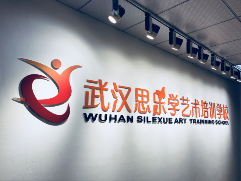 武汉市洪山区思乐艺术学校案例原图 3